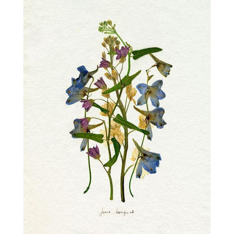 Pressed June Arrangement I White Modern Wood Framed Art Print by Caroline, Emma