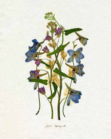 Pressed June Arrangement I White Modern Wood Framed Art Print with Double Matting by Caroline, Emma
