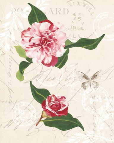 Diannes Camelias II Black Ornate Wood Framed Art Print with Double Matting by Miller, Dianne