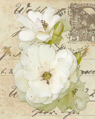 Wishing You Well I White Modern Wood Framed Art Print with Double Matting by Saunders, Alonzo