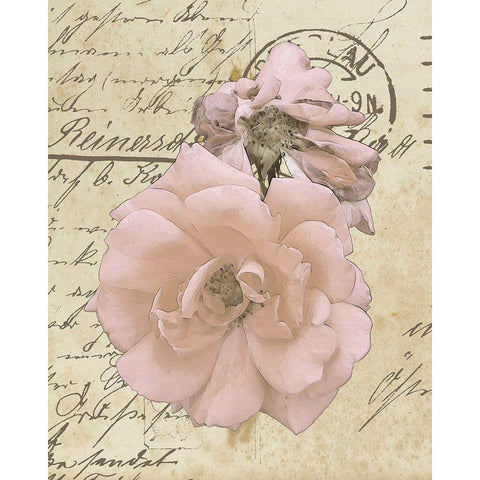 Wishing You Well II White Modern Wood Framed Art Print by Saunders, Alonzo