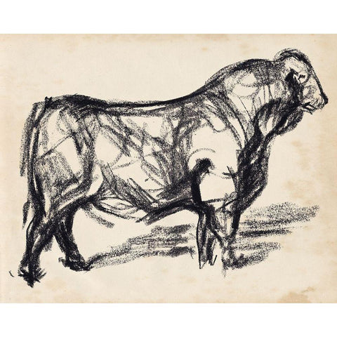 Black Angus I Black Modern Wood Framed Art Print with Double Matting by Parker, Jennifer Paxton