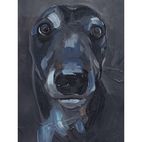 Good Boy II Black Modern Wood Framed Art Print with Double Matting by Parker, Jennifer Paxton