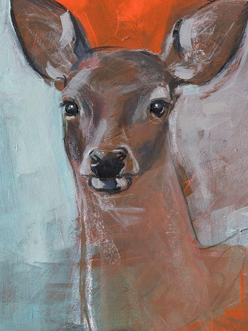 Doe Eyes II White Modern Wood Framed Art Print with Double Matting by Parker, Jennifer Paxton