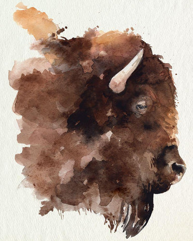 Watercolor Bison Profile I White Modern Wood Framed Art Print with Double Matting by Parker, Jennifer Paxton