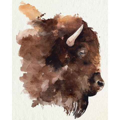 Watercolor Bison Profile I Black Modern Wood Framed Art Print by Parker, Jennifer Paxton