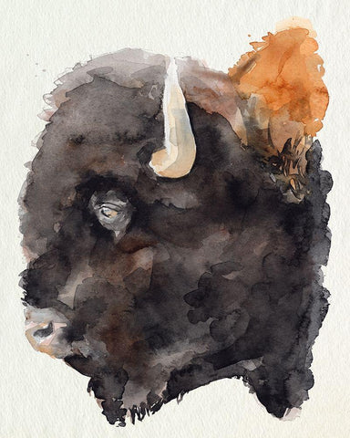 Watercolor Bison Profile II Black Ornate Wood Framed Art Print with Double Matting by Parker, Jennifer Paxton