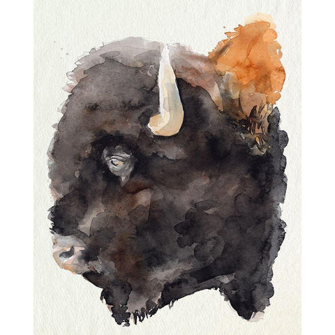 Watercolor Bison Profile II Black Modern Wood Framed Art Print by Parker, Jennifer Paxton