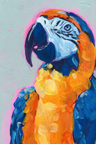 Pop Art Parrot I Black Ornate Wood Framed Art Print with Double Matting by Parker, Jennifer Paxton