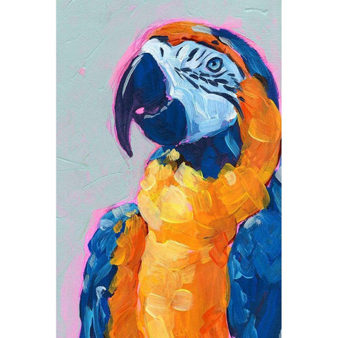 Pop Art Parrot I Black Modern Wood Framed Art Print by Parker, Jennifer Paxton