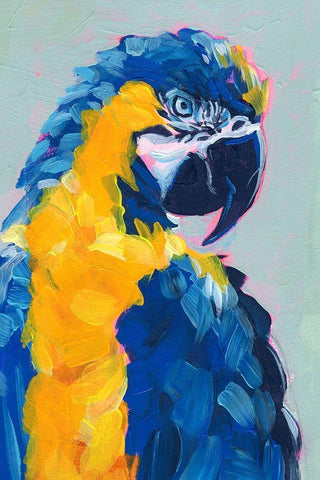 Pop Art Parrot II White Modern Wood Framed Art Print with Double Matting by Parker, Jennifer Paxton