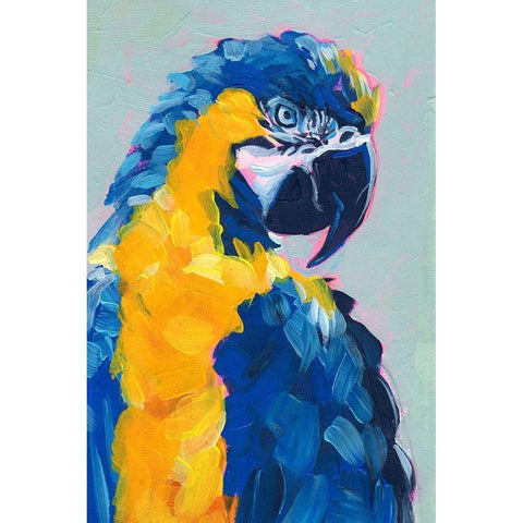 Pop Art Parrot II Black Modern Wood Framed Art Print by Parker, Jennifer Paxton