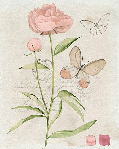 Field Notes Florals II White Modern Wood Framed Art Print with Double Matting by Parker, Jennifer Paxton