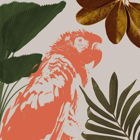 Graphic Tropical Bird I Black Modern Wood Framed Art Print by Warren, Annie
