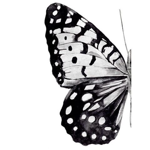 Monochrome Wings I White Modern Wood Framed Art Print by Warren, Annie
