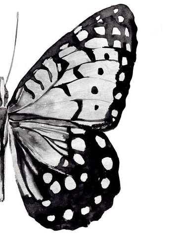 Monochrome Wings II White Modern Wood Framed Art Print with Double Matting by Warren, Annie