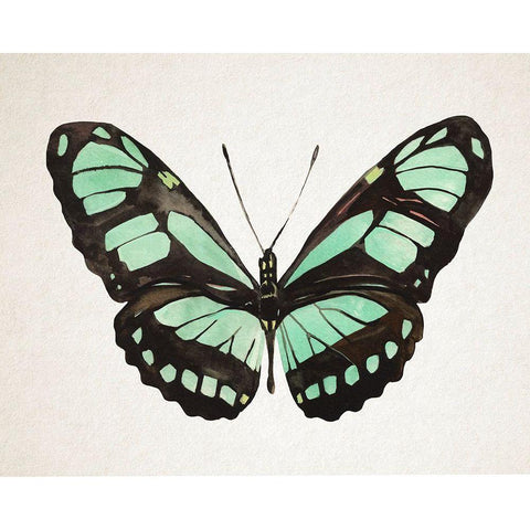Mint Butterfly II Gold Ornate Wood Framed Art Print with Double Matting by Warren, Annie