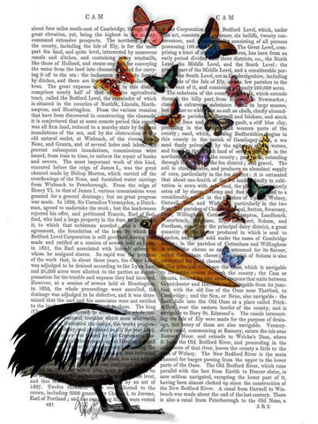 Pelican and Butterflies Black Ornate Wood Framed Art Print with Double Matting by Fab Funky
