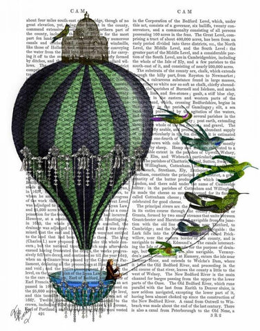 Hot Air Balloon and Birds White Modern Wood Framed Art Print with Double Matting by Fab Funky