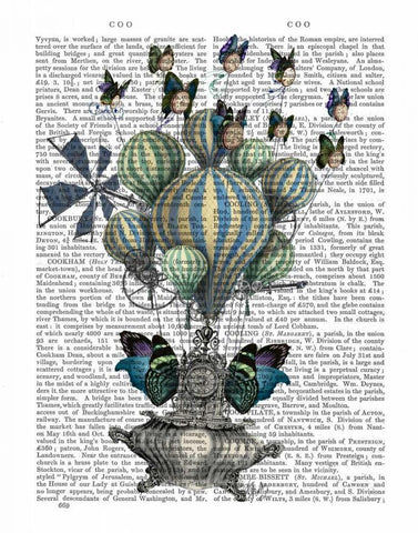 Flutter Time White Modern Wood Framed Art Print with Double Matting by Fab Funky