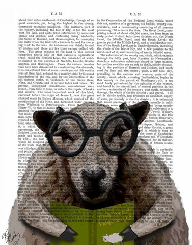 Intelligent Sheep White Modern Wood Framed Art Print with Double Matting by Fab Funky