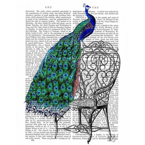 Peacock on Chair White Modern Wood Framed Art Print by Fab Funky
