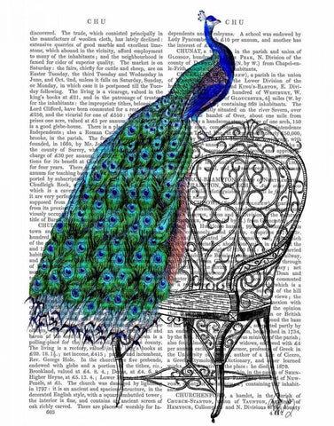 Peacock on Chair White Modern Wood Framed Art Print with Double Matting by Fab Funky