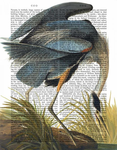 Blue Heron 1 Black Ornate Wood Framed Art Print with Double Matting by Fab Funky