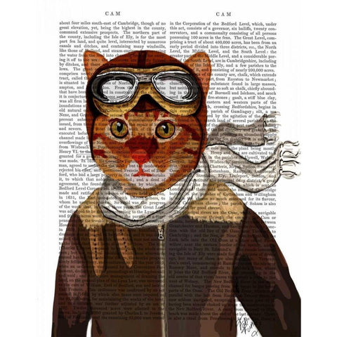 Flying Cat Gold Ornate Wood Framed Art Print with Double Matting by Fab Funky