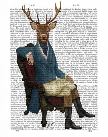 Distinguished Deer Full White Modern Wood Framed Art Print with Double Matting by Fab Funky
