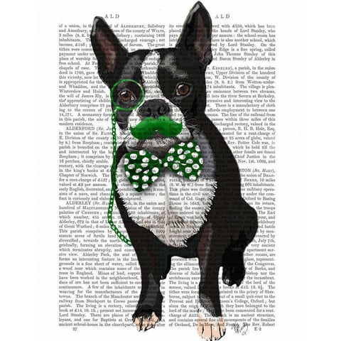 Boston Terrier With Green Moustache And Spotty Green Bow Tie White Modern Wood Framed Art Print by Fab Funky