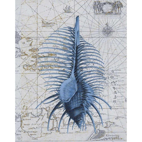 Seashell Collection 1 b Black Modern Wood Framed Art Print with Double Matting by Fab Funky