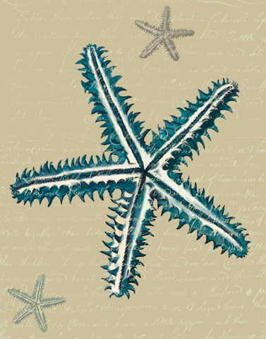 Blue Starfish on Taupe a Black Ornate Wood Framed Art Print with Double Matting by Fab Funky