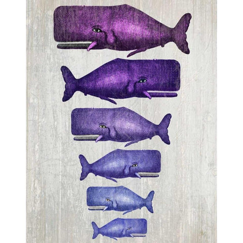 Whale Family Purple on White Black Modern Wood Framed Art Print with Double Matting by Fab Funky