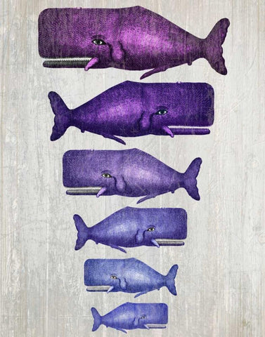 Whale Family Purple on White White Modern Wood Framed Art Print with Double Matting by Fab Funky