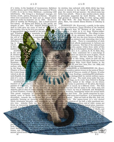 Cat with Blue Butterfly Wings Black Ornate Wood Framed Art Print with Double Matting by Fab Funky