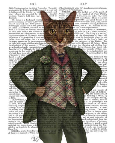 Cat in Tartan Waistcoat Black Ornate Wood Framed Art Print with Double Matting by Fab Funky