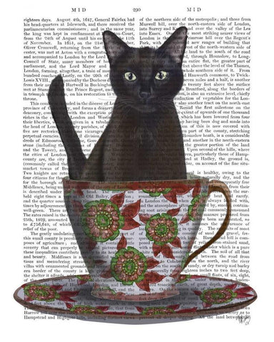 Black Cat in Teacup Black Ornate Wood Framed Art Print with Double Matting by Fab Funky
