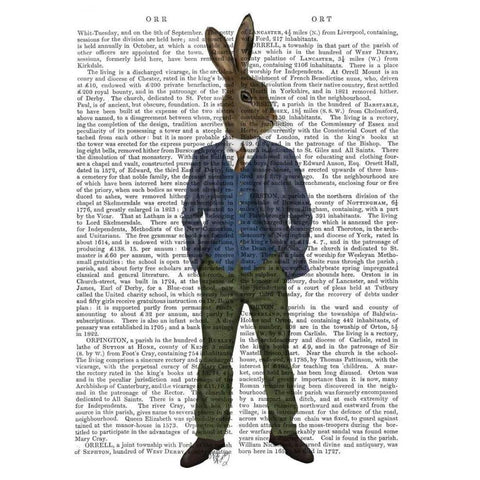 Rabbit in Blue Waistcoat Black Modern Wood Framed Art Print with Double Matting by Fab Funky