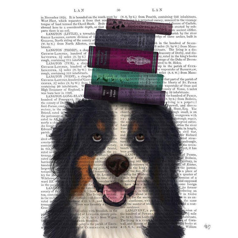 Bernese and Books Black Modern Wood Framed Art Print with Double Matting by Fab Funky