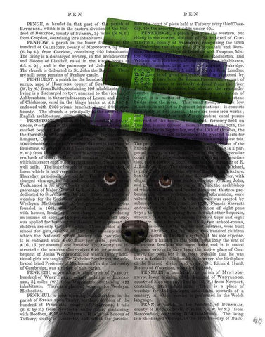 Border Collie, Black and White, and Books White Modern Wood Framed Art Print with Double Matting by Fab Funky