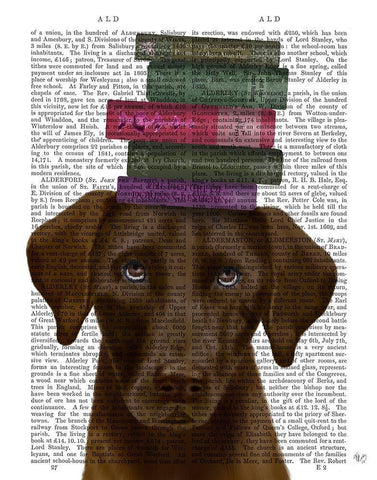 Brown Labrador and Books White Modern Wood Framed Art Print with Double Matting by Fab Funky