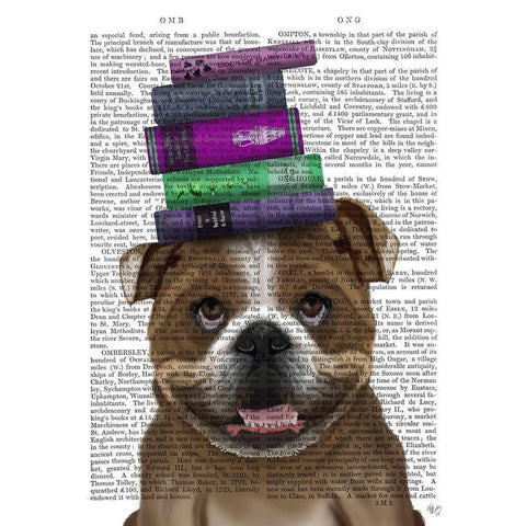 English Bulldog And Books White Modern Wood Framed Art Print by Fab Funky
