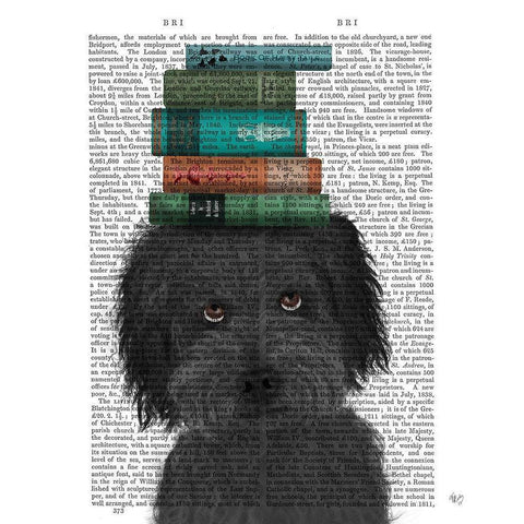Labradoodle, Black, and Books Gold Ornate Wood Framed Art Print with Double Matting by Fab Funky