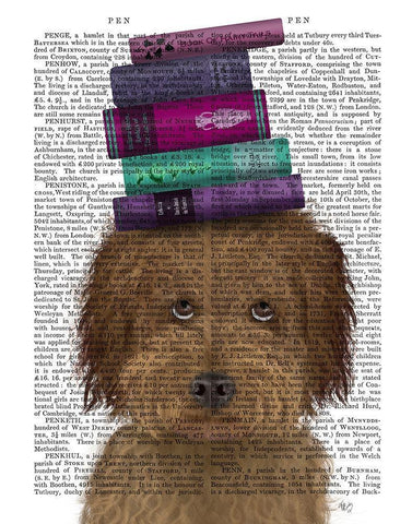 Labradoodle, Brown, and Books Black Ornate Wood Framed Art Print with Double Matting by Fab Funky