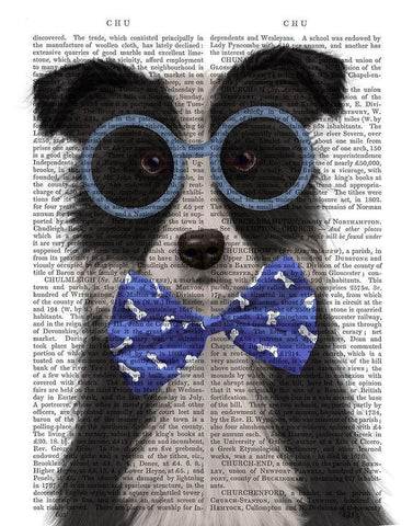 Border Collie, Black and White, with Glasses and Bow Tie White Modern Wood Framed Art Print with Double Matting by Fab Funky