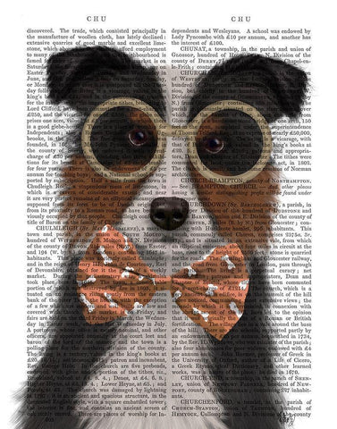 Border Collie, Tricolour, with Glasses and Bow Tie White Modern Wood Framed Art Print with Double Matting by Fab Funky