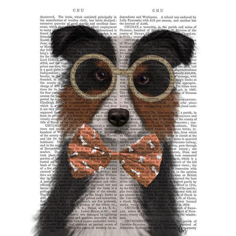 Border Collie, Tricolour, with Glasses and Bow Tie White Modern Wood Framed Art Print by Fab Funky