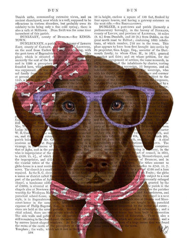 Chocolate Labrador with Glasses and Scarf White Modern Wood Framed Art Print with Double Matting by Fab Funky