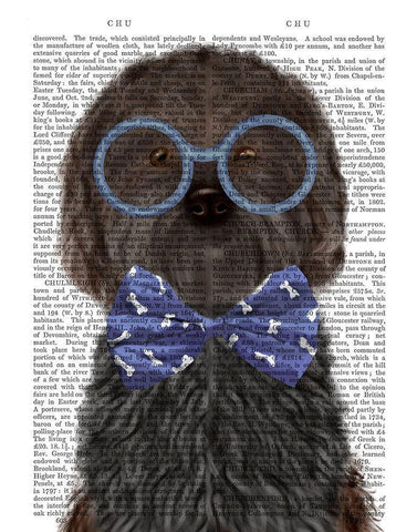 Cockerpoo, Black, with Glasses and Bow Tie White Modern Wood Framed Art Print with Double Matting by Fab Funky